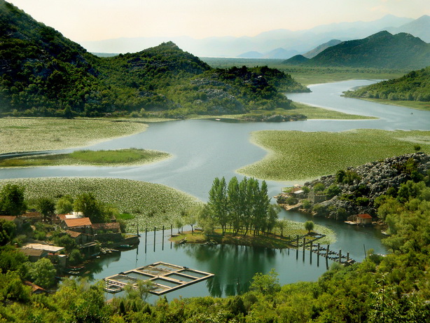 Skadar Lake cruise